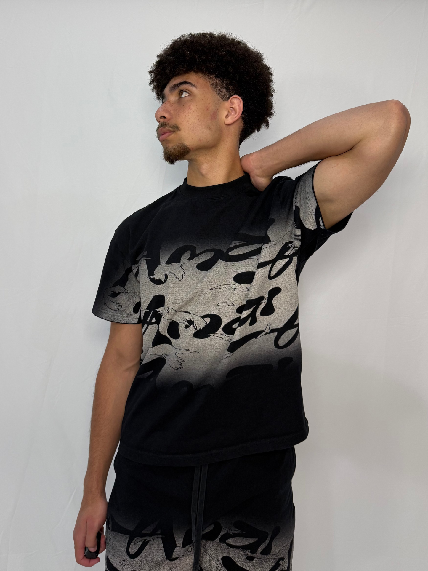 AMAI Color Fade (Shirt)