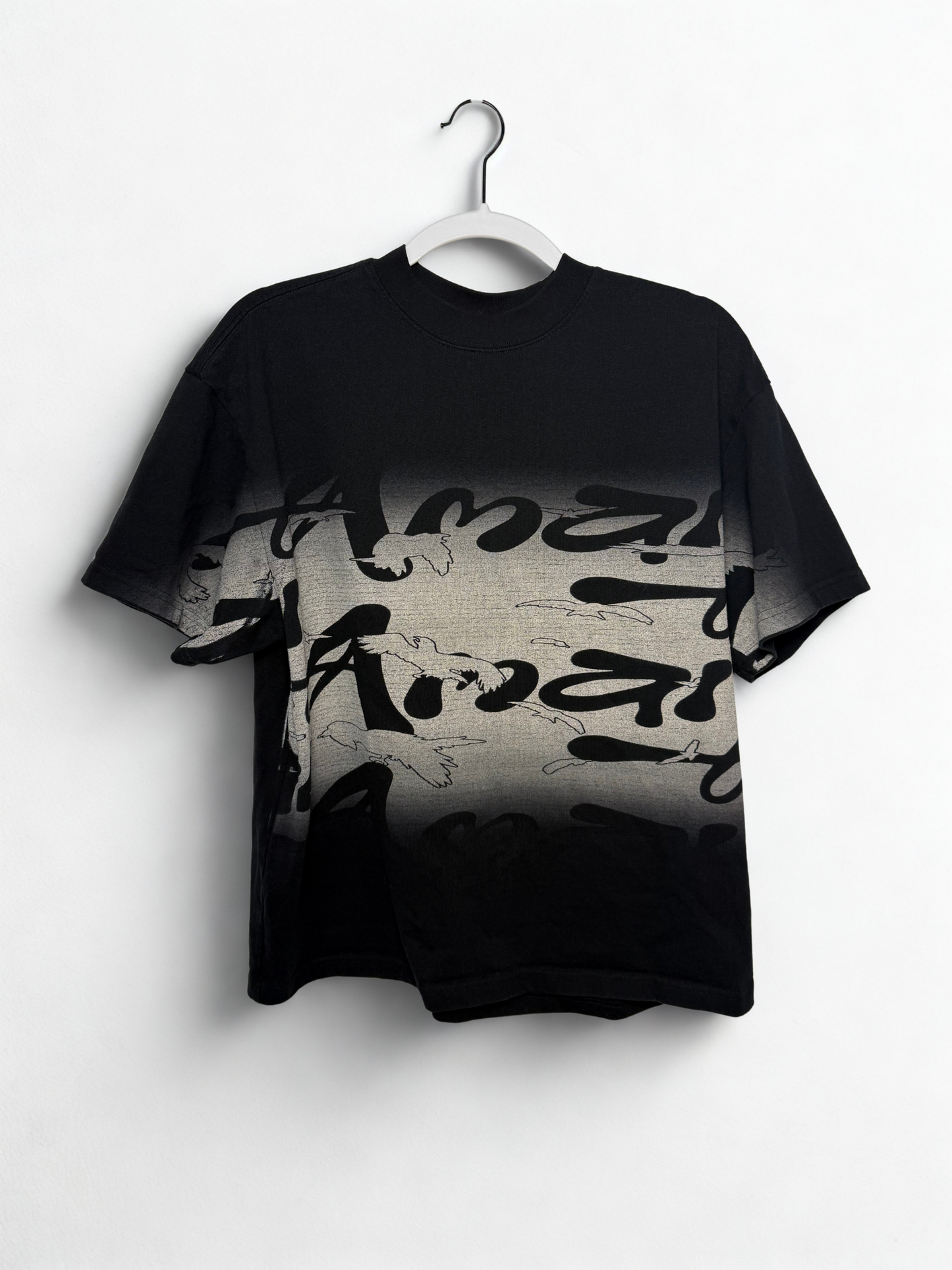 AMAI Color Fade (Shirt)